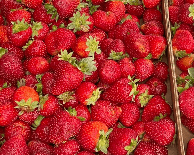 berries
